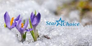 Star Choice Credit Union Referral Promotion: $ 25 Referral Bonus за двете страни (MN)