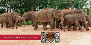 บัตรเครดิตกองทุนสัตว์ป่าโลก $200 โบนัสเงินสด