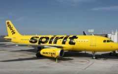 Spirit Airlines: o guia completo para ganhar e resgatar pontos Spirit Free